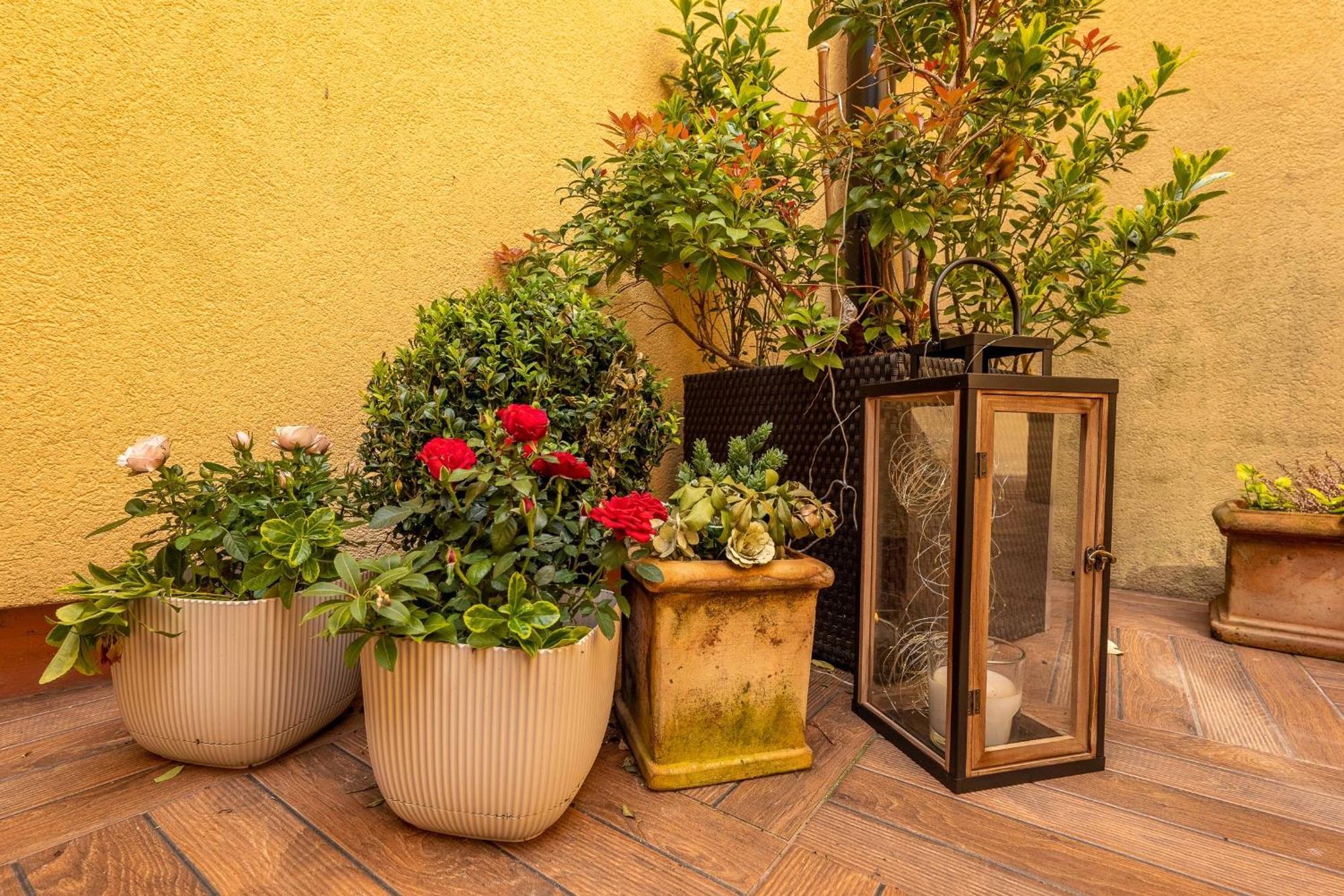 Appartement Dum U Lazni Federer à Třeboň Chambre photo